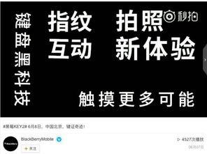 爆料视频快闪,揭秘爆料视频背后的神秘力量  第1张