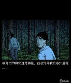 噩梦故事视频爆料大全,视频爆料大全深度解析  第3张